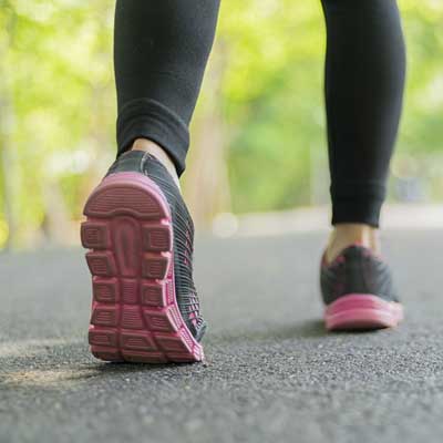 faltademagnetisamo01